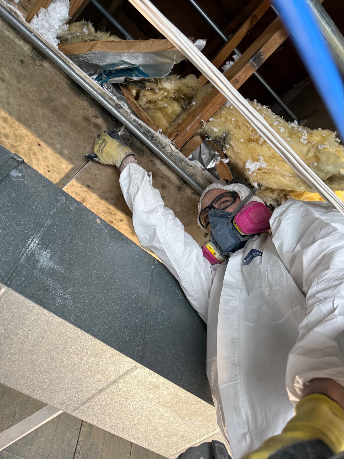 Mold Remediation