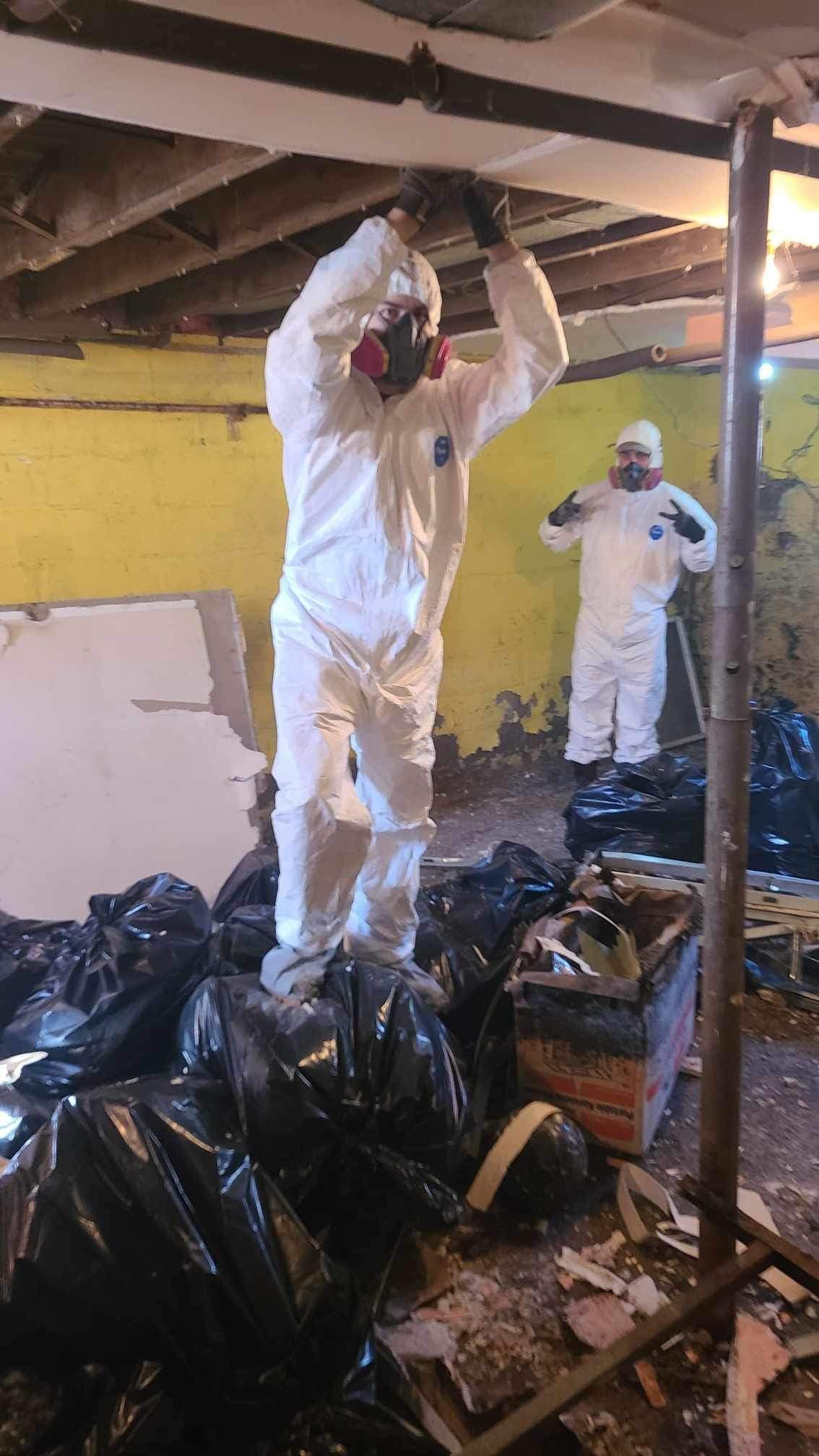 Basement Mold Removal